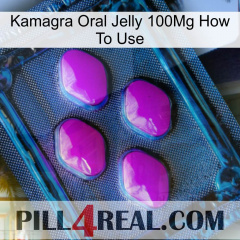 Kamagra Oral Jelly 100Mg How To Use 04